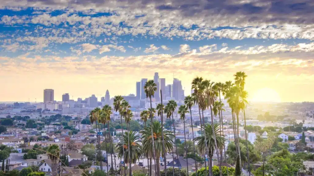 If you or a loved one has been injured in a truck accident in Los Angeles, understanding the causes, legal complexities, and your rights is essential to securing the compensation you deserve.